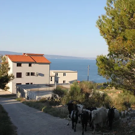 Ivo Appartement Dugi Rat
